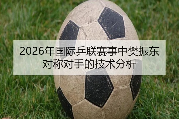 2026年国际乒联赛事中樊振东对称对手的技术分析